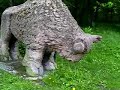 ŻUBR ŻUBR