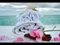 Hany Shaker feat. Abdel Halim Hafez - romantic times-Part 2