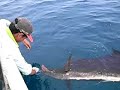 Kuala Rompin Sail - 20th - 22nd October\