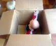 baby in a box