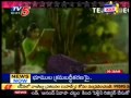 K.Raghavendra rao Hit Songs(TV5)