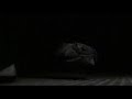 Dawn of War II FAKE Teaser Orks 1 Dawn of War II FAKE Teaser Orks 1