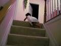 Aarushi coming down the stairs