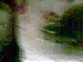 videos de juanito el changuito