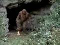 Jack Links messin with sasquatch