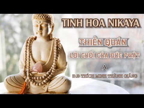 Tinh Hoa NIKAYA - Thiền Quán - Lời Cuối Của Đức Phật A