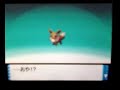 Pokemon Pearl - Eevee to Leafeon Pokemon Pearl - Eevee to Leafeon