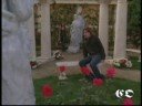 Charmed - Chris Crossed Charmed - Chris Crossed