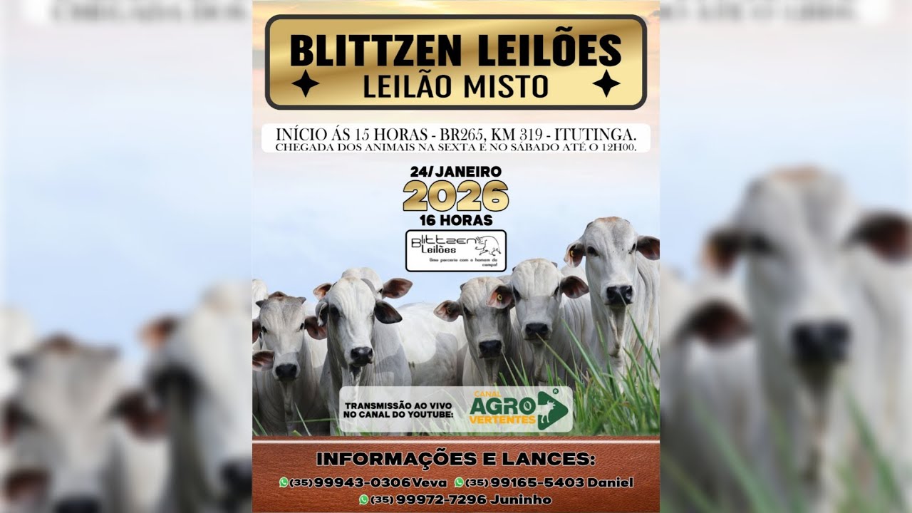 LEILÃO MISTO BLITTZEN LEILÕES - 24/01/2026