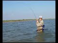 Late Summer Big Redfish