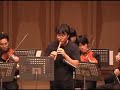 THE BEATLES Yellow Submarine by string orchestra THE BEATLES Yellow Submarine by string orchestra
