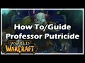 How To / Guide - Professor Putricide