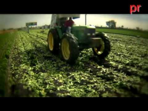 Presione para ver el v&iacute;deo