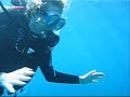 Coral reef