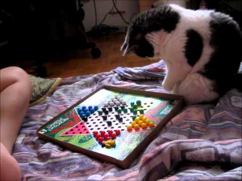 chinese checkers