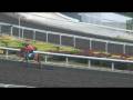 videos de S02 & V12 & V01 - MARCHAND D'OR & THE BOGBERRY & DR DINO