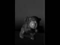 videos de Monkey jump captured by High Speed Camera
