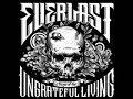 Everlast – Money