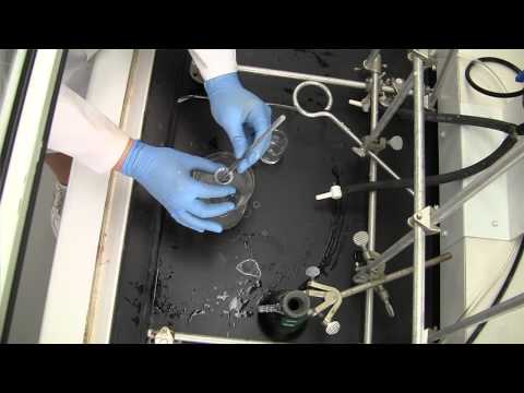 how to isolate schwann cells