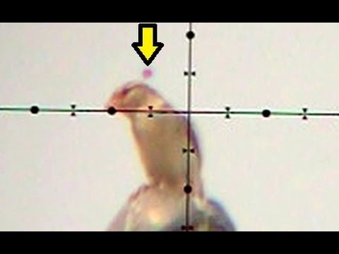 how to take bullets off ul