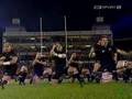 haka dance