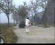 Chen Taiji Xiaojia Sword with Chen Chuan-Sheng