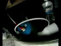Water Fuel Cell on KYMCO 125