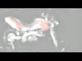 Pegaso 650 - Aprilia Commercial