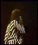 Jethro Tull - Minstrel in the Gallery complete - Live 1975