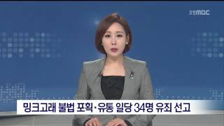 MBC 이브닝뉴스