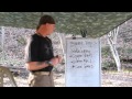 Addressing Snake Bites