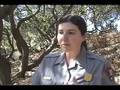 YouTube - Lobos Creek - The Ansel Adams Connection