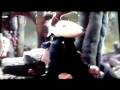 videos de The Bear and the Travellers