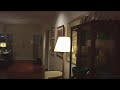 Panasonic HVX200 w Glidecam 4000 pro