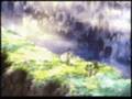 amv3