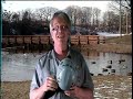 Tree Climbing Safety tip on wearing helmets Recreational Safety