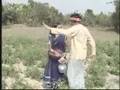 Zalai Laise Reh -... View Video