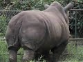 NO TODO ZOOLOGICO ES APTO (JEFF)