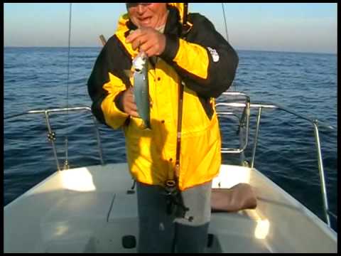 сезоны рыбалки на черном море сезоны рыбалки на черном море