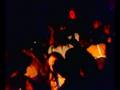 videos de Luis Nieva @Optimo 4