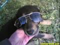 liseli k�zlar etek alt�