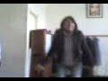 koala 4�C