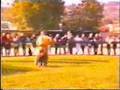 Boyero de Flandes video