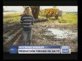HISTORIAS RURALES CRIA DE CERDOS