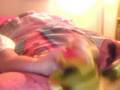 beeker loves to dance