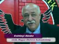 Beköltöztek az első fiókák a Madárfészekbe Beköltöztek az első fiókák a Madárfészekbe