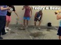 Cinnamon Challenge with Teddy and the Janoskians
