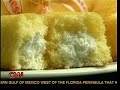 CNN / American Morning / Deconstructing a Twinkie