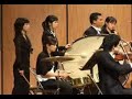 Pirates of the Caribbean OST played by Euphonia