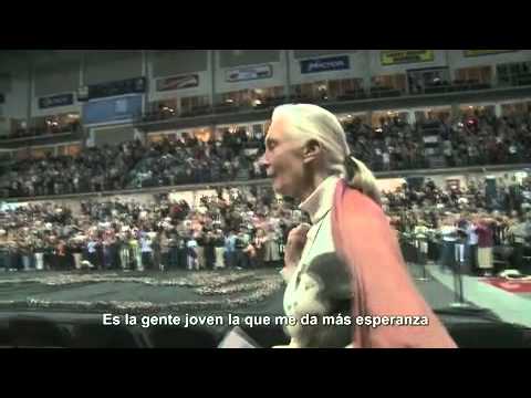 Imagen de previsualización de YouTube